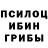 Псилоцибиновые грибы мухоморы chelovek vremya