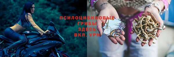 гашик Белокуриха