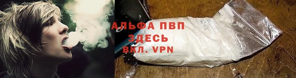 гашик Белокуриха