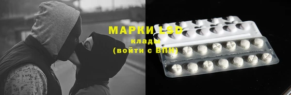 гашик Белокуриха