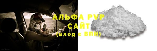 гашик Белокуриха