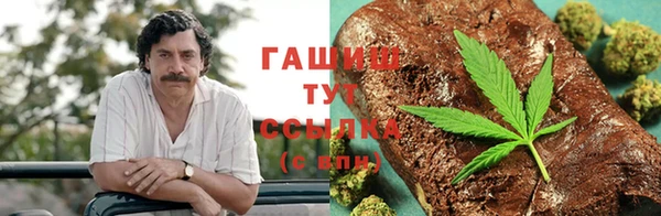 гашик Белокуриха