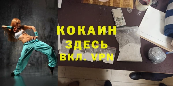 гашик Белокуриха