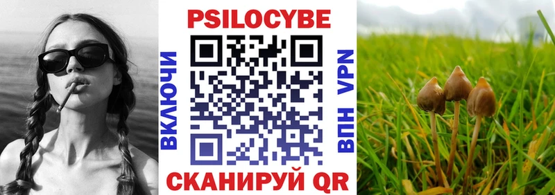 Галлюциногенные грибы MAGIC MUSHROOMS где купить наркоту kraken ССЫЛКА Челябинск